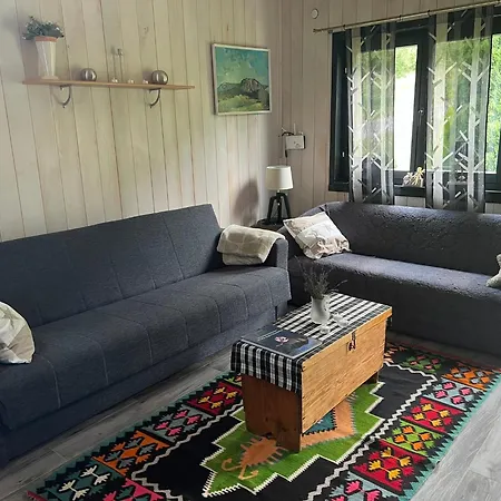 Soko House Апартаменты *